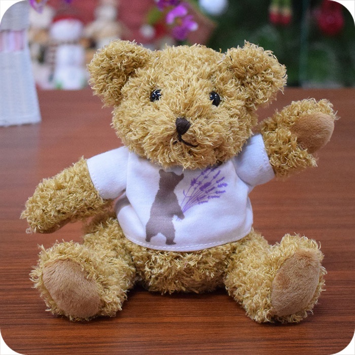Plush Custom Teddy Bear with Shirt, 6 inches