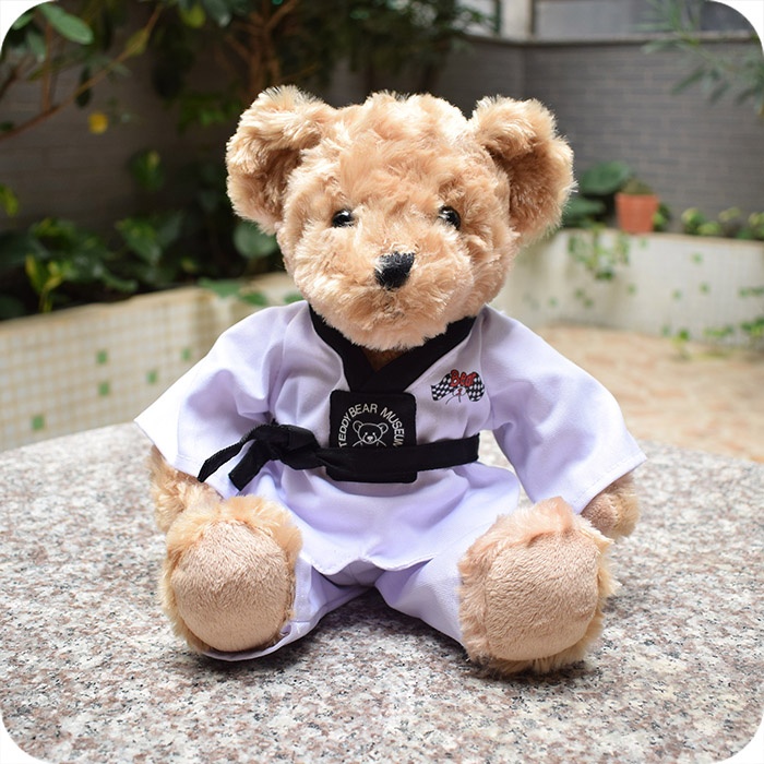Taekwondo Teddy Bear Stuffed Animal Plush, 9 inches