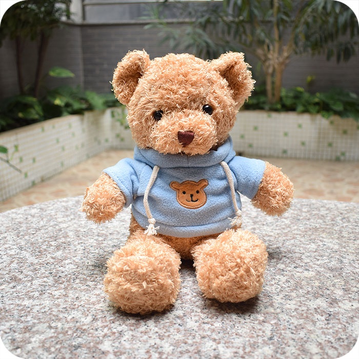 Stuffed Animal Plush Teddy Bear with Hoodie, 9 inches
