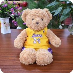 Custom Teddy Bear with NBA Shirt, 9 inches