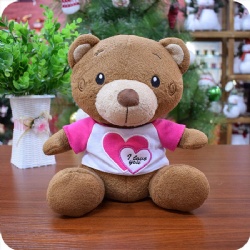 Soft Bear Plush Toy with Shirt, 9 inches