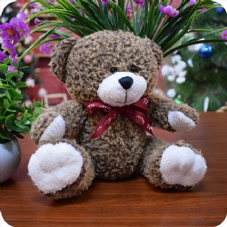 Soft Baby Bear Plush Toy with Ribbon, 8 inches