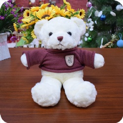 White Soft Teddy Bear with Sweater, 14 inches