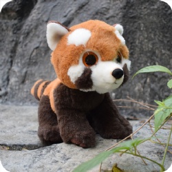 Lifelike Vivid Ailurus Fulgens Plush Toy