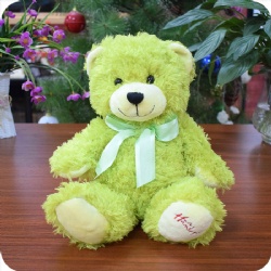 Light Green Cuddly Bear Toy, 9 inches