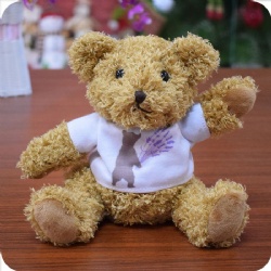 Plush Custom Teddy Bear with Shirt, 6 inches