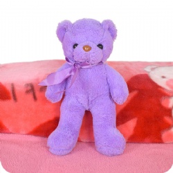 Plush Toy Gift Cuddle Bear Toy, 11 Inch