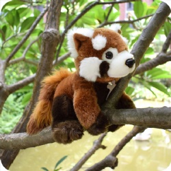 Funny Cute Red Panda Plush Stuffed Animal