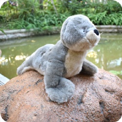 Wildlife Lifelike Harbor Seal Stuffed Animal Custom Plush Toy