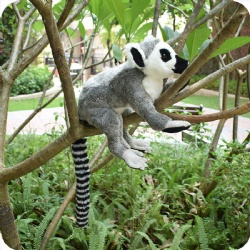 Lemur Stuffed Animal Custom stuffed Toy Plush Animal Toy