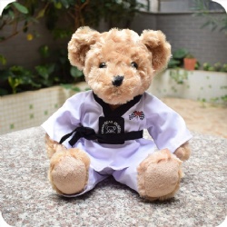 Taekwondo Teddy Bear Stuffed Animal Plush, 9 inches